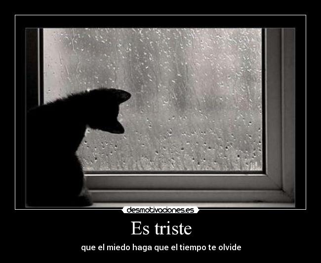 Es triste - que el miedo haga que el tiempo te olvide