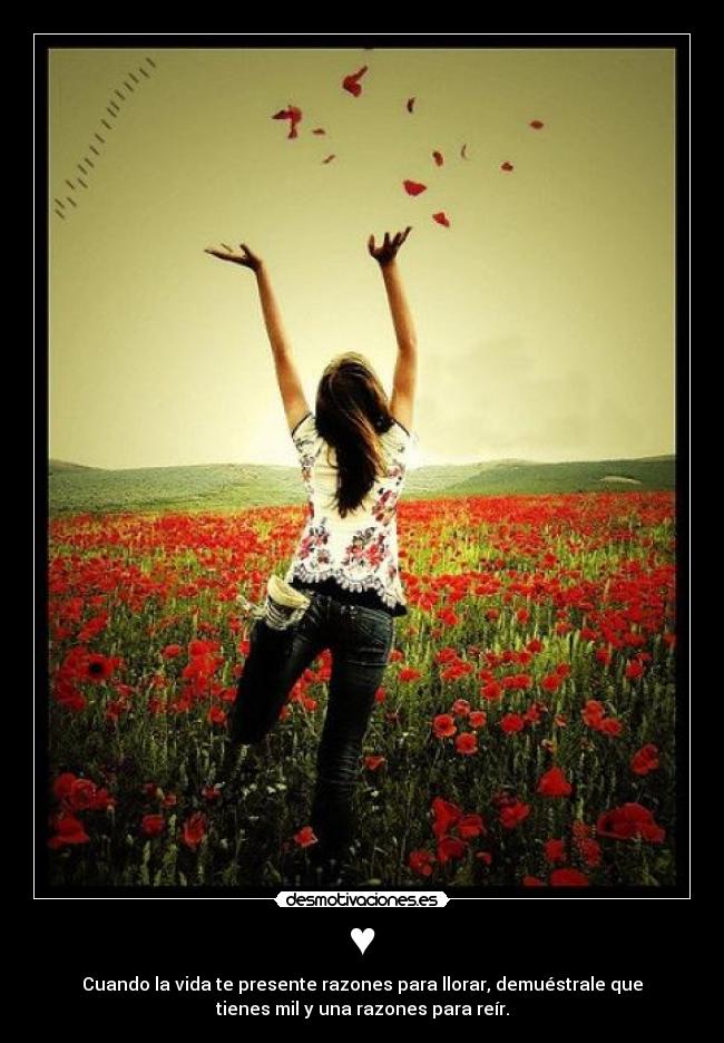 carteles vida felicidad reir llorar desmotivaciones