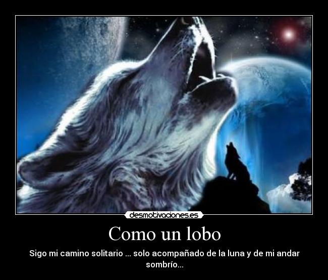 carteles lobo solo soledad alone desmotivaciones