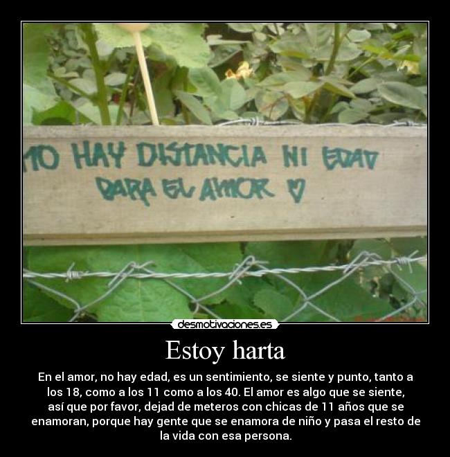 Estoy harta - En el amor, no hay edad, es un sentimiento, se siente y punto, tanto a
los 18, como a los 11 como a los 40. El amor es algo que se siente,
así que por favor, dejad de meteros con chicas de 11 años que se
enamoran, porque hay gente que se enamora de niño y pasa el resto de
la vida con esa persona.