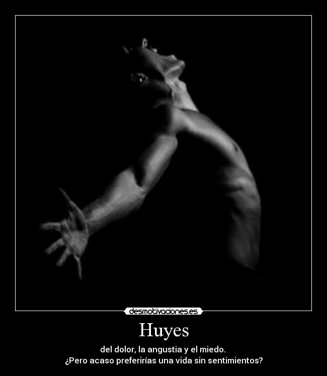 Huyes - 