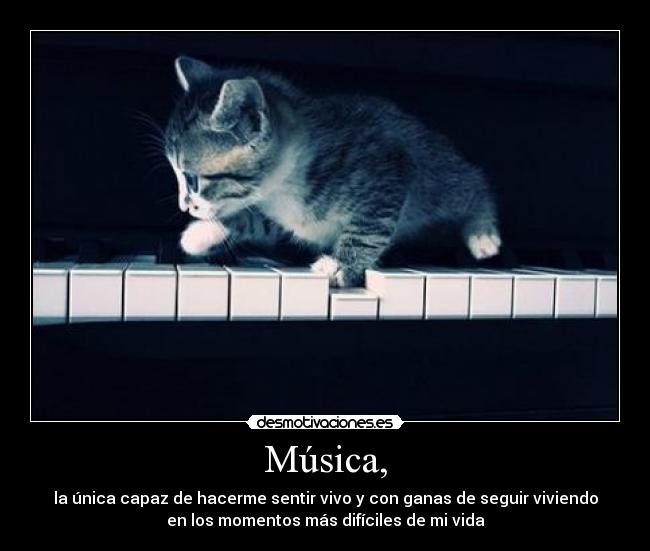 Música, - la única capaz de hacerme sentir vivo y con ganas de seguir viviendo
en los momentos más difíciles de mi vida