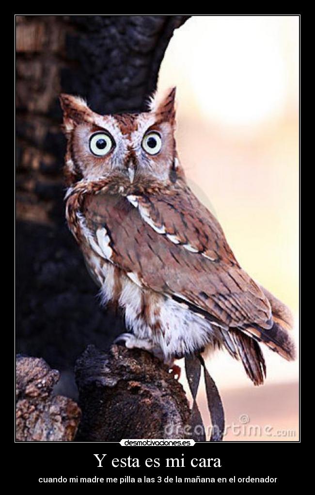 Y esta es mi cara - cuando mi madre me pilla a las 3 de la mañana en el ordenador