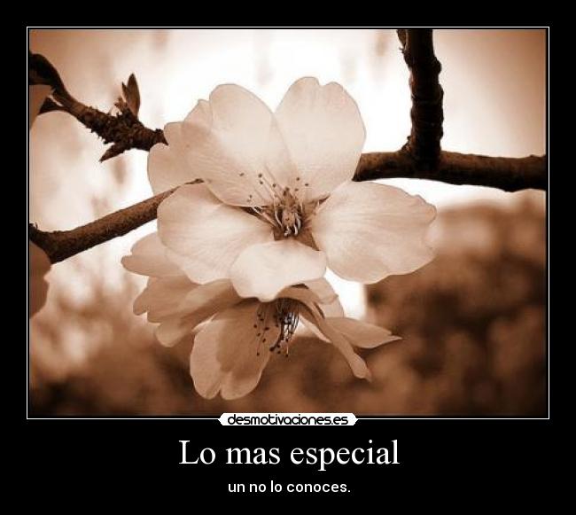 Lo mas especial - 