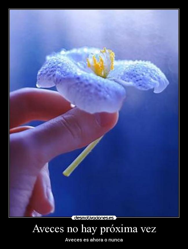 carteles ahora nunca irnyjhgjhj desmotivaciones