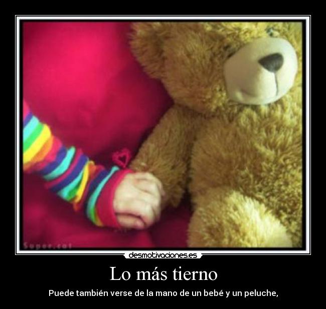 carteles eugenia zeballos desmotivaciones