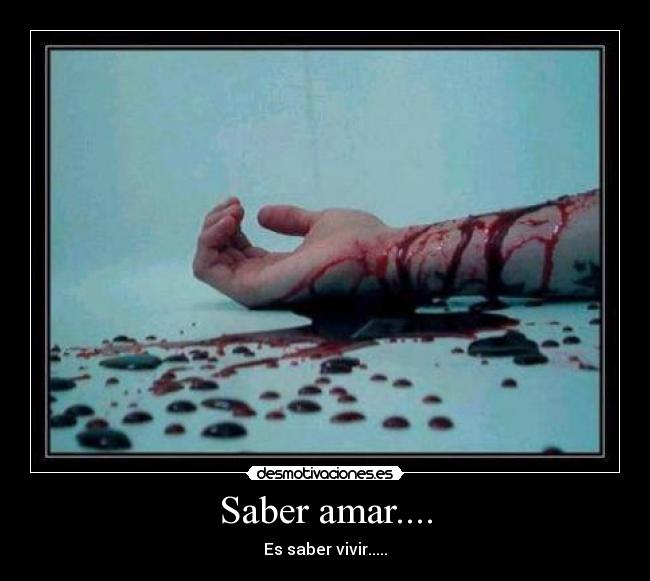 carteles saber amar desmotivaciones