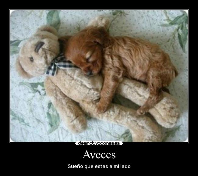 Aveces -