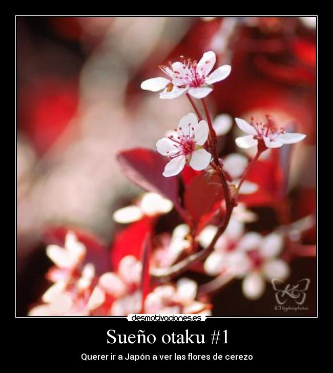 carteles anime otaku desmotivaciones