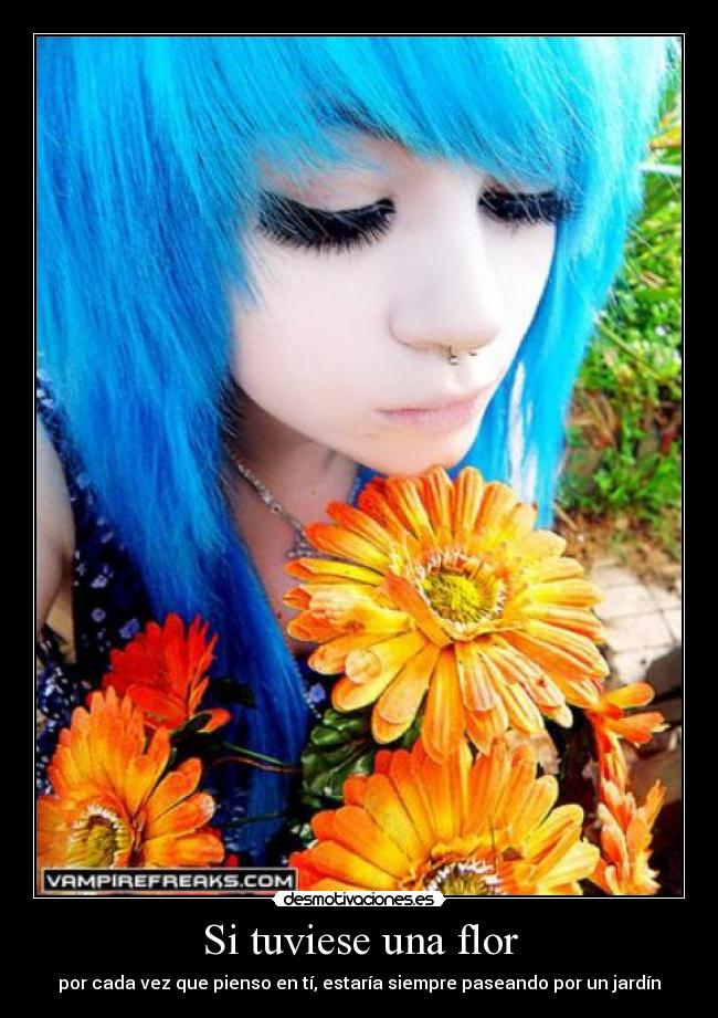 Si tuviese una flor - por cada vez que pienso en tí, estaría siempre paseando por un jardín