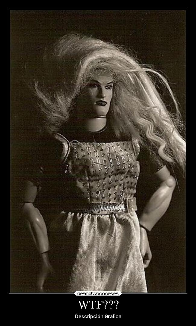 WTF??? - Descripción Grafica