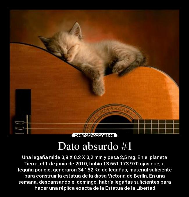 Dato absurdo #1 - Una legaña mide 0,9 X 0,2 X 0,2 mm y pesa 2,5 mg. En el planeta
Tierra, el 1 de junio de 2010, había 13.661.173.970 ojos que, a
legaña por ojo, generaron 34.152 Kg de legañas, material suficiente
para construir la estatua de la diosa Victoria de Berlín. En una
semana, descansando el domingo, habría legañas suficientes para
hacer una réplica exacta de la Estatua de la Libertad
