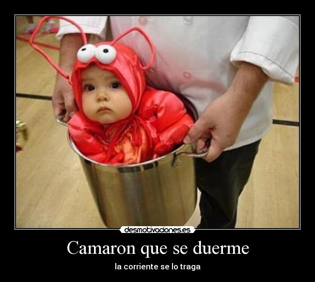 Camaron que se duerme - 