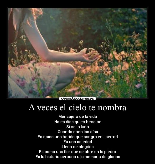 A veces el cielo te nombra - 