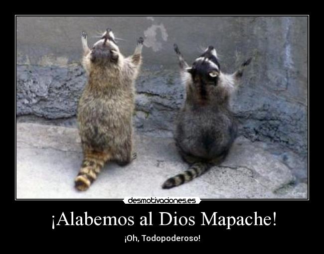 ¡Alabemos al Dios Mapache! - ¡Oh, Todopoderoso!