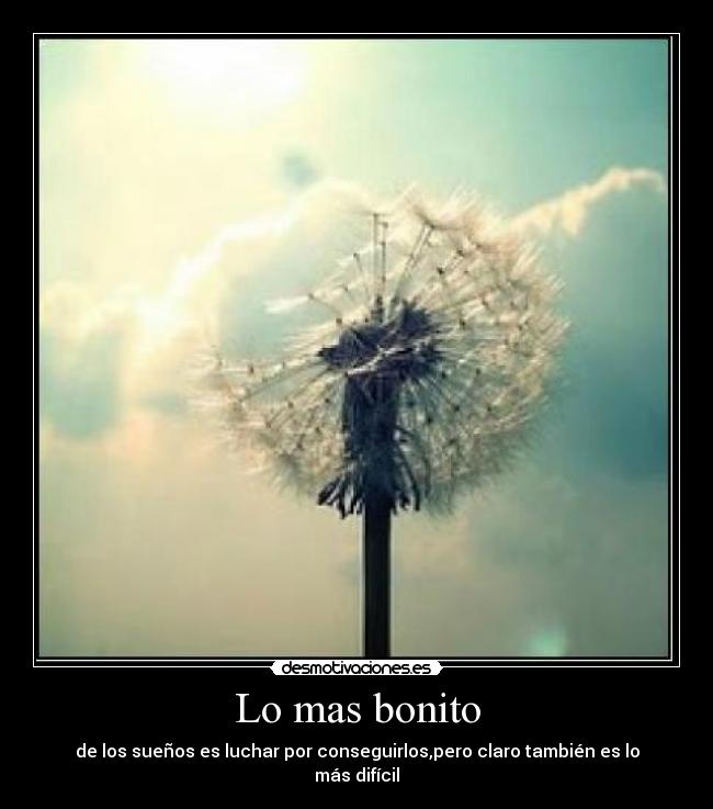 carteles bonito desmotivaciones