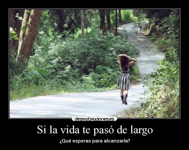 Si la vida te pasó de largo - ¿Qué esperas para alcanzarla?