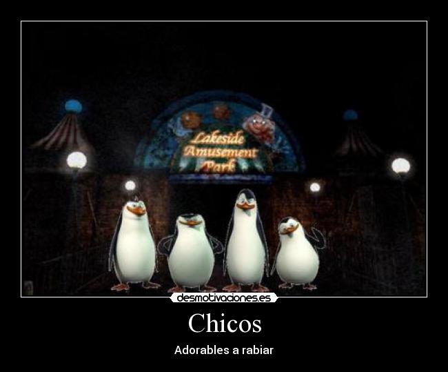 Chicos - Adorables a rabiar