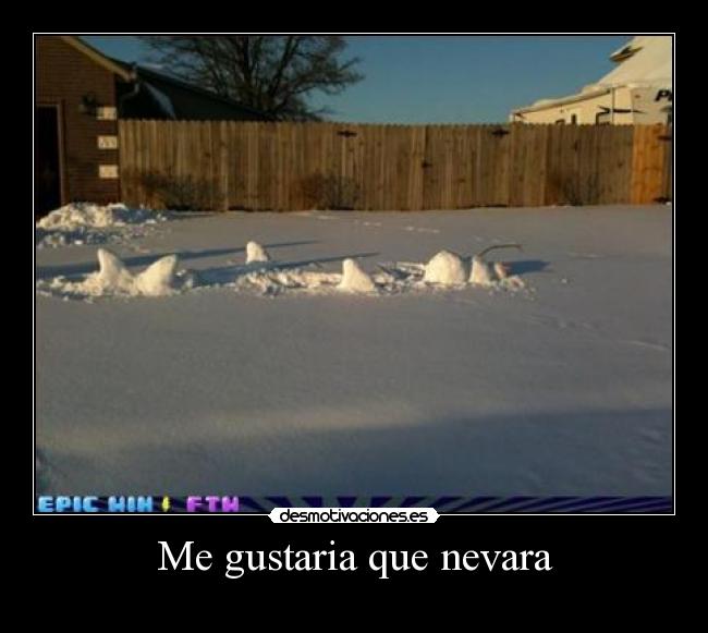 Me gustaria que nevara -