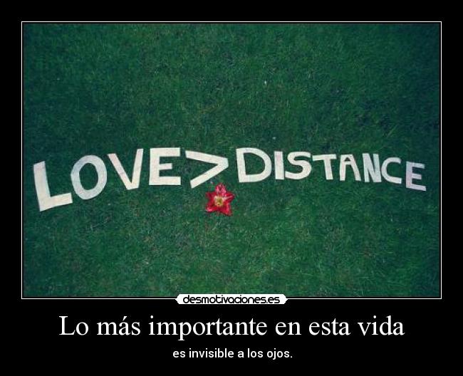 Lo más importante en esta vida - 