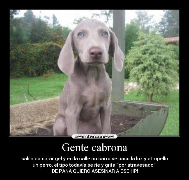 Gente cabrona -