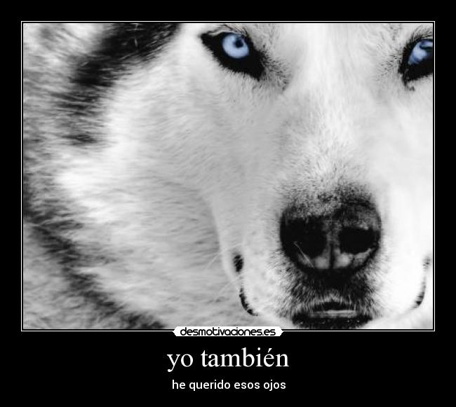 yo también -