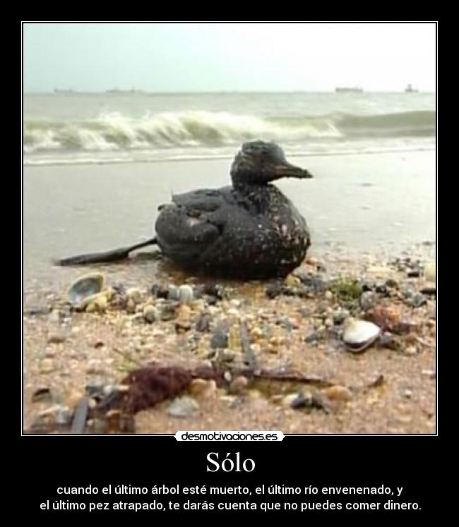 Sólo - cuando el último árbol esté muerto, el último río envenenado, y
el último pez atrapado, te darás cuenta que no puedes comer dinero.