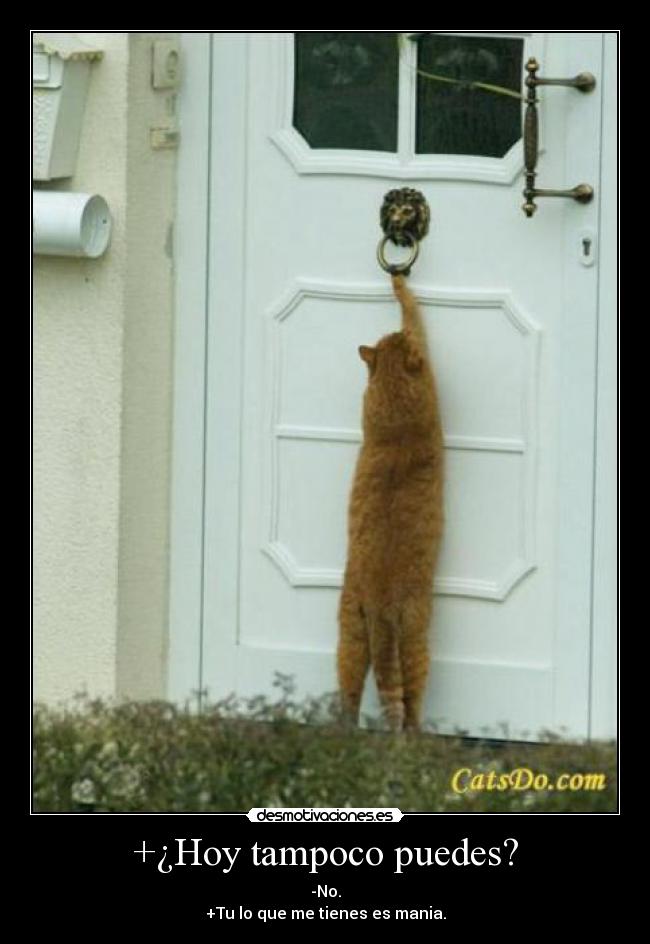 +¿Hoy tampoco puedes? - -No.
+Tu lo que me tienes es mania.