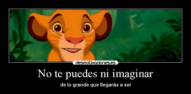 No te puedes ni imaginar -