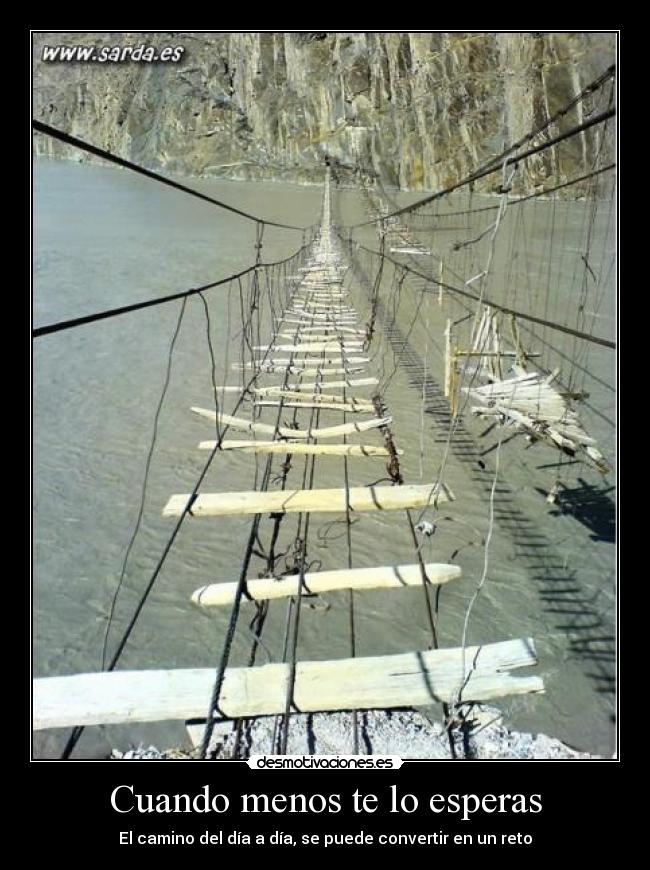 carteles nosequeetiquetasponerahora desmotivaciones