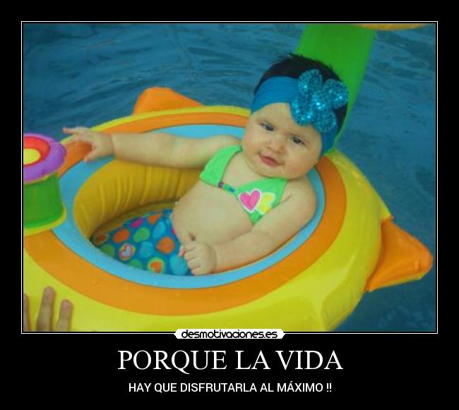 carteles vida vida desmotivaciones