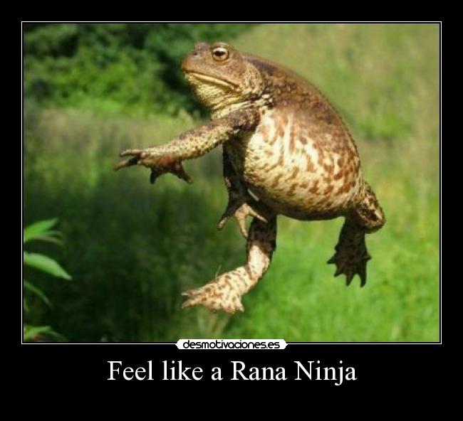 Feel like a Rana Ninja - 