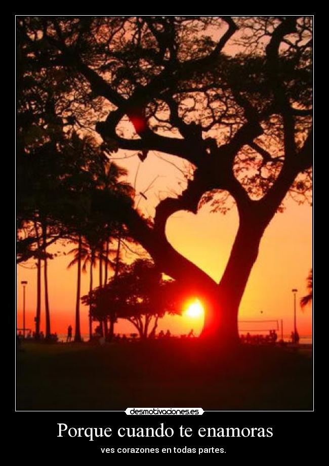 Porque cuando te enamoras - 
