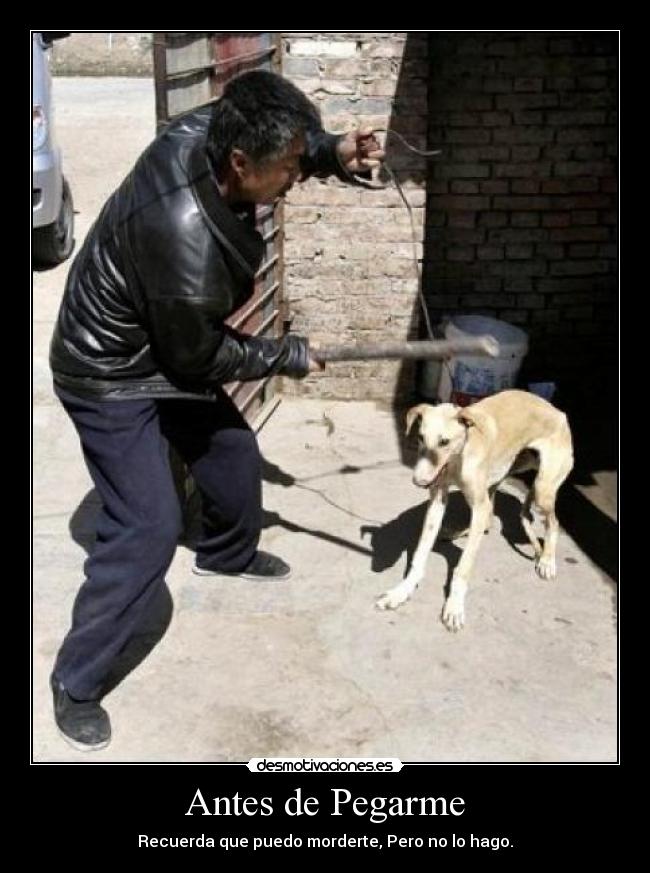 Antes de Pegarme -