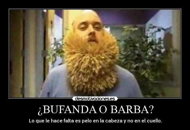 ¿BUFANDA O BARBA? - Lo que le hace falta es pelo en la cabeza y no en el cuello.