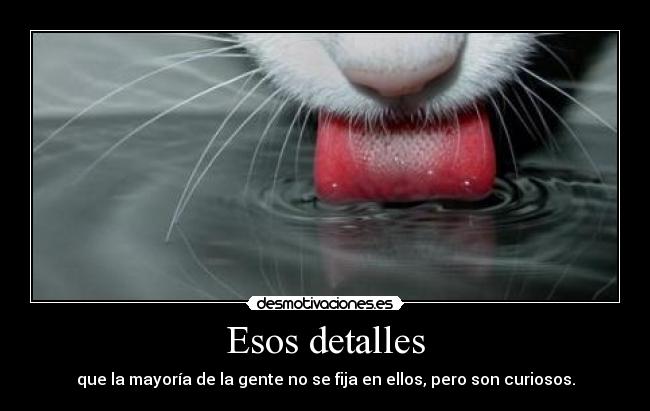 Esos detalles - que la mayoría de la gente no se fija en ellos, pero son curiosos.
