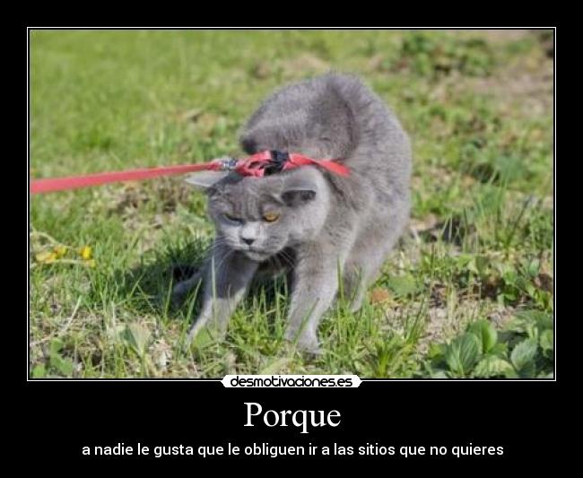 Porque - a nadie le gusta que le obliguen ir a las sitios que no quieres