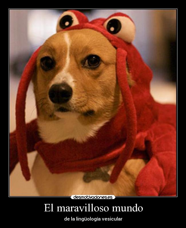 El maravilloso mundo - 