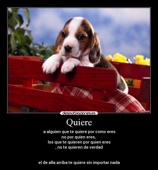 Quiere - 