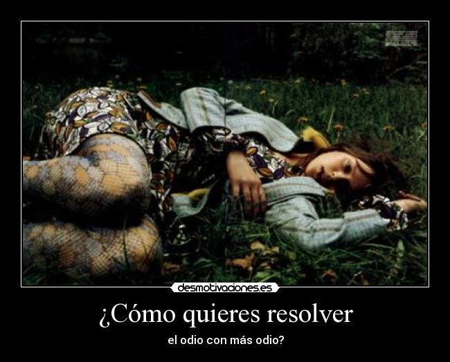 ¿Cómo quieres resolver - el odio con más odio?