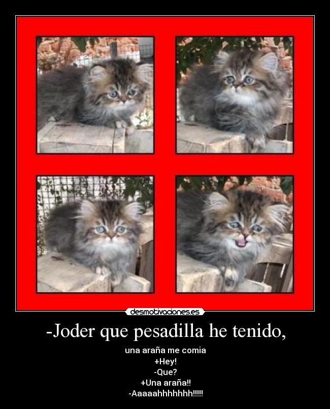 -Joder que pesadilla he tenido, - una araña me comia
+Hey!
-Que?
+Una araña!!
-Aaaaahhhhhhh!!!!!