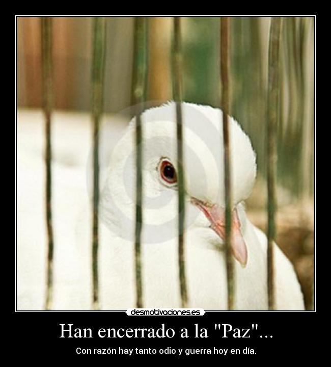 Han encerrado a la Paz... - Con razón hay tanto odio y guerra hoy en día.