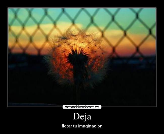 Deja - flotar tu imaginacion