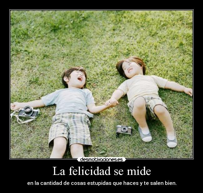 La felicidad se mide - en la cantidad de cosas estupidas que haces y te salen bien.