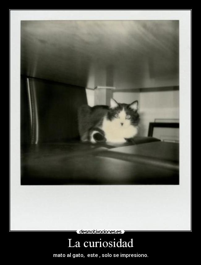 La curiosidad - 