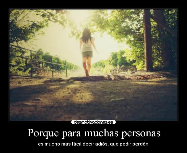 carteles porque2 desmotivaciones