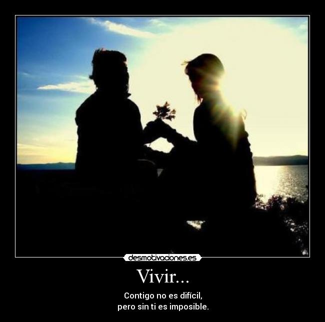 carteles amo budincito desmotivaciones