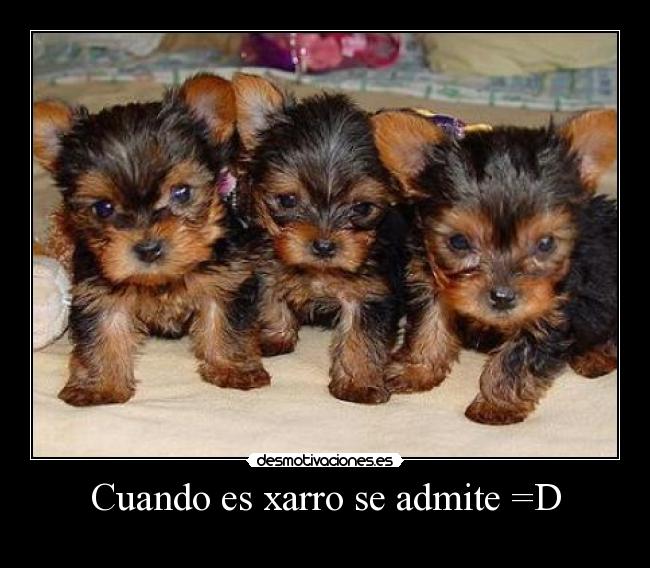 Cuando es xarro se admite =D -