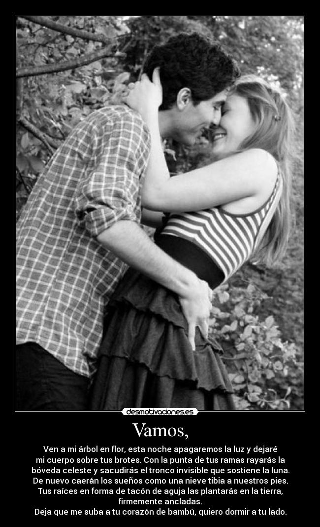 Vamos, - Ven a mi árbol en flor, esta noche apagaremos la luz y dejaré
mi cuerpo sobre tus brotes. Con la punta de tus ramas rayarás la
bóveda celeste y sacudirás el tronco invisible que sostiene la luna.
De nuevo caerán los sueños como una nieve tibia a nuestros pies.
Tus raíces en forma de tacón de aguja las plantarás en la tierra,
firmemente ancladas.
Deja que me suba a tu corazón de bambú, quiero dormir a tu lado.