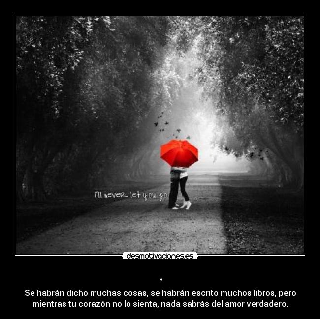 carteles xdddddddddddddddddddddddddddddddddddd algun dia princi desmotivaciones